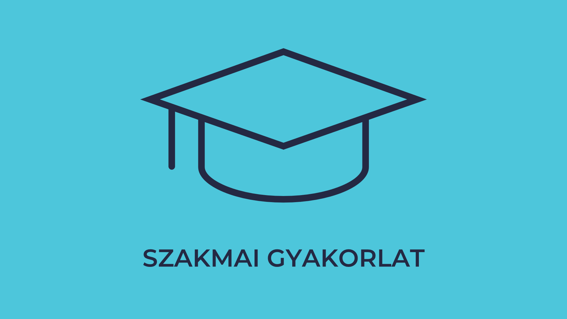 Szakmai Gyakorlat